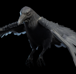 raven companion