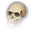 skull items baldursgate3 wiki guide 64px