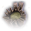 ashes of dragon egg mushroom baldurs gate 3 wiki guide 64px