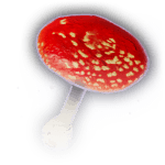 blushcap mushroom food baldursgate3 wiki guide 150px