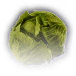 cabbage food baldursgate3 wiki guide 150px