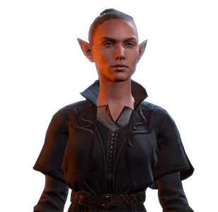 elf-portrait-bg3-wiki-guide