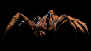 large giant spider enemies baldurs gate 3 wiki guide 300px
