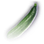 zucchini food and drinks baldursgate3 wiki guide 64px